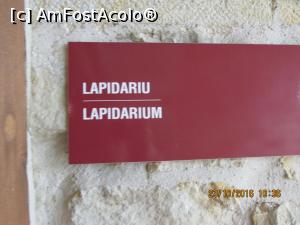 [P17] Lapidarium... sala prezentarii cetatii.  » foto by Soso42
 - 
<span class="allrVoted glyphicon glyphicon-heart hidden" id="av844605"></span>
<a class="m-l-10 hidden" id="sv844605" onclick="voting_Foto_DelVot(,844605,21314)" role="button">șterge vot <span class="glyphicon glyphicon-remove"></span></a>
<a id="v9844605" class=" c-red"  onclick="voting_Foto_SetVot(844605)" role="button"><span class="glyphicon glyphicon-heart-empty"></span> <b>LIKE</b> = Votează poza</a> <img class="hidden"  id="f844605W9" src="/imagini/loader.gif" border="0" /><span class="AjErrMes hidden" id="e844605ErM"></span>