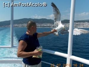 [P21] ... din nou hranim pescarusii in drum spre Thassos » foto by mario 110
 - 
<span class="allrVoted glyphicon glyphicon-heart hidden" id="av817270"></span>
<a class="m-l-10 hidden" id="sv817270" onclick="voting_Foto_DelVot(,817270,21320)" role="button">șterge vot <span class="glyphicon glyphicon-remove"></span></a>
<a id="v9817270" class=" c-red"  onclick="voting_Foto_SetVot(817270)" role="button"><span class="glyphicon glyphicon-heart-empty"></span> <b>LIKE</b> = Votează poza</a> <img class="hidden"  id="f817270W9" src="/imagini/loader.gif" border="0" /><span class="AjErrMes hidden" id="e817270ErM"></span>