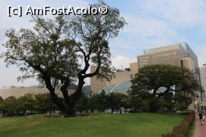 [P51] Busan, Centum City, Naru Park cu cei doi arbori Bunicul și Bunica vechi de 500 de ani aduși aici și replantați în 2010 » foto by mprofeanu
 - 
<span class="allrVoted glyphicon glyphicon-heart hidden" id="av819963"></span>
<a class="m-l-10 hidden" id="sv819963" onclick="voting_Foto_DelVot(,819963,21334)" role="button">șterge vot <span class="glyphicon glyphicon-remove"></span></a>
<a id="v9819963" class=" c-red"  onclick="voting_Foto_SetVot(819963)" role="button"><span class="glyphicon glyphicon-heart-empty"></span> <b>LIKE</b> = Votează poza</a> <img class="hidden"  id="f819963W9" src="/imagini/loader.gif" border="0" /><span class="AjErrMes hidden" id="e819963ErM"></span>