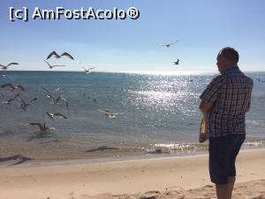 [P49] Paradise Blue. Clipe de fericire...  » foto by Floria
 - 
<span class="allrVoted glyphicon glyphicon-heart hidden" id="av911481"></span>
<a class="m-l-10 hidden" id="sv911481" onclick="voting_Foto_DelVot(,911481,21338)" role="button">șterge vot <span class="glyphicon glyphicon-remove"></span></a>
<a id="v9911481" class=" c-red"  onclick="voting_Foto_SetVot(911481)" role="button"><span class="glyphicon glyphicon-heart-empty"></span> <b>LIKE</b> = Votează poza</a> <img class="hidden"  id="f911481W9" src="/imagini/loader.gif" border="0" /><span class="AjErrMes hidden" id="e911481ErM"></span>