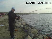 [P10] prietenul meu din partea stanga incepuse deja sa aiba de furca cu vecinii care ii incurcau firele » foto by valimi
 - 
<span class="allrVoted glyphicon glyphicon-heart hidden" id="av84415"></span>
<a class="m-l-10 hidden" id="sv84415" onclick="voting_Foto_DelVot(,84415,21352)" role="button">șterge vot <span class="glyphicon glyphicon-remove"></span></a>
<a id="v984415" class=" c-red"  onclick="voting_Foto_SetVot(84415)" role="button"><span class="glyphicon glyphicon-heart-empty"></span> <b>LIKE</b> = Votează poza</a> <img class="hidden"  id="f84415W9" src="/imagini/loader.gif" border="0" /><span class="AjErrMes hidden" id="e84415ErM"></span>