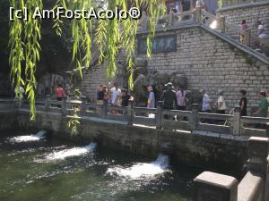 [P30] Am ajuns si la Izvorul Tigrul Negru » foto by mishu
 - 
<span class="allrVoted glyphicon glyphicon-heart hidden" id="av1157379"></span>
<a class="m-l-10 hidden" id="sv1157379" onclick="voting_Foto_DelVot(,1157379,21375)" role="button">șterge vot <span class="glyphicon glyphicon-remove"></span></a>
<a id="v91157379" class=" c-red"  onclick="voting_Foto_SetVot(1157379)" role="button"><span class="glyphicon glyphicon-heart-empty"></span> <b>LIKE</b> = Votează poza</a> <img class="hidden"  id="f1157379W9" src="/imagini/loader.gif" border="0" /><span class="AjErrMes hidden" id="e1157379ErM"></span>