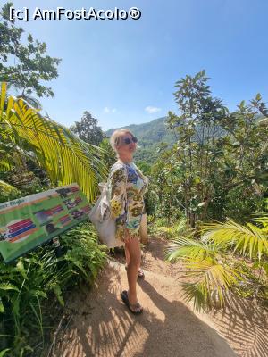 [P26] Coco del Mai » foto by robert
 - 
<span class="allrVoted glyphicon glyphicon-heart hidden" id="av1365565"></span>
<a class="m-l-10 hidden" id="sv1365565" onclick="voting_Foto_DelVot(,1365565,21412)" role="button">șterge vot <span class="glyphicon glyphicon-remove"></span></a>
<a id="v91365565" class=" c-red"  onclick="voting_Foto_SetVot(1365565)" role="button"><span class="glyphicon glyphicon-heart-empty"></span> <b>LIKE</b> = Votează poza</a> <img class="hidden"  id="f1365565W9" src="/imagini/loader.gif" border="0" /><span class="AjErrMes hidden" id="e1365565ErM"></span>