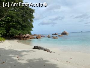 [P06] Anse Lazio » foto by Roxelly
 - 
<span class="allrVoted glyphicon glyphicon-heart hidden" id="av1313642"></span>
<a class="m-l-10 hidden" id="sv1313642" onclick="voting_Foto_DelVot(,1313642,21412)" role="button">șterge vot <span class="glyphicon glyphicon-remove"></span></a>
<a id="v91313642" class=" c-red"  onclick="voting_Foto_SetVot(1313642)" role="button"><span class="glyphicon glyphicon-heart-empty"></span> <b>LIKE</b> = Votează poza</a> <img class="hidden"  id="f1313642W9" src="/imagini/loader.gif" border="0" /><span class="AjErrMes hidden" id="e1313642ErM"></span>