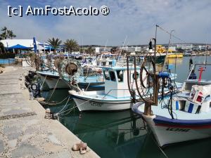 [P29] Portul Ayia Napa » foto by Marius 72
 - 
<span class="allrVoted glyphicon glyphicon-heart hidden" id="av1494176"></span>
<a class="m-l-10 hidden" id="sv1494176" onclick="voting_Foto_DelVot(,1494176,21413)" role="button">șterge vot <span class="glyphicon glyphicon-remove"></span></a>
<a id="v91494176" class=" c-red"  onclick="voting_Foto_SetVot(1494176)" role="button"><span class="glyphicon glyphicon-heart-empty"></span> <b>LIKE</b> = Votează poza</a> <img class="hidden"  id="f1494176W9" src="/imagini/loader.gif" border="0" /><span class="AjErrMes hidden" id="e1494176ErM"></span>