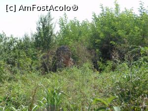 [P38] Mironești - Ruinele conacului postelnicului Constantin Cantacuzino.  » foto by iulianic
 - 
<span class="allrVoted glyphicon glyphicon-heart hidden" id="av992793"></span>
<a class="m-l-10 hidden" id="sv992793" onclick="voting_Foto_DelVot(,992793,21445)" role="button">șterge vot <span class="glyphicon glyphicon-remove"></span></a>
<a id="v9992793" class=" c-red"  onclick="voting_Foto_SetVot(992793)" role="button"><span class="glyphicon glyphicon-heart-empty"></span> <b>LIKE</b> = Votează poza</a> <img class="hidden"  id="f992793W9" src="/imagini/loader.gif" border="0" /><span class="AjErrMes hidden" id="e992793ErM"></span>