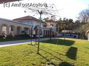 [P59] Comana - Casa Comana - prin curte » foto by mishu
 - 
<span class="allrVoted glyphicon glyphicon-heart hidden" id="av829385"></span>
<a class="m-l-10 hidden" id="sv829385" onclick="voting_Foto_DelVot(,829385,21445)" role="button">șterge vot <span class="glyphicon glyphicon-remove"></span></a>
<a id="v9829385" class=" c-red"  onclick="voting_Foto_SetVot(829385)" role="button"><span class="glyphicon glyphicon-heart-empty"></span> <b>LIKE</b> = Votează poza</a> <img class="hidden"  id="f829385W9" src="/imagini/loader.gif" border="0" /><span class="AjErrMes hidden" id="e829385ErM"></span>