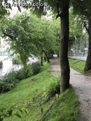 [P22] Prin parc. Aleea părea susținută de copacul din imagine » foto by krisstinna
 - 
<span class="allrVoted glyphicon glyphicon-heart hidden" id="av864604"></span>
<a class="m-l-10 hidden" id="sv864604" onclick="voting_Foto_DelVot(,864604,21446)" role="button">șterge vot <span class="glyphicon glyphicon-remove"></span></a>
<a id="v9864604" class=" c-red"  onclick="voting_Foto_SetVot(864604)" role="button"><span class="glyphicon glyphicon-heart-empty"></span> <b>LIKE</b> = Votează poza</a> <img class="hidden"  id="f864604W9" src="/imagini/loader.gif" border="0" /><span class="AjErrMes hidden" id="e864604ErM"></span>