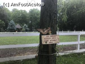 [P34] Prin parc » foto by krisstinna
 - 
<span class="allrVoted glyphicon glyphicon-heart hidden" id="av864616"></span>
<a class="m-l-10 hidden" id="sv864616" onclick="voting_Foto_DelVot(,864616,21446)" role="button">șterge vot <span class="glyphicon glyphicon-remove"></span></a>
<a id="v9864616" class=" c-red"  onclick="voting_Foto_SetVot(864616)" role="button"><span class="glyphicon glyphicon-heart-empty"></span> <b>LIKE</b> = Votează poza</a> <img class="hidden"  id="f864616W9" src="/imagini/loader.gif" border="0" /><span class="AjErrMes hidden" id="e864616ErM"></span>