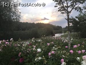 [P46] Câteva flori sărutate » foto by krisstinna
 - 
<span class="allrVoted glyphicon glyphicon-heart hidden" id="av864628"></span>
<a class="m-l-10 hidden" id="sv864628" onclick="voting_Foto_DelVot(,864628,21446)" role="button">șterge vot <span class="glyphicon glyphicon-remove"></span></a>
<a id="v9864628" class=" c-red"  onclick="voting_Foto_SetVot(864628)" role="button"><span class="glyphicon glyphicon-heart-empty"></span> <b>LIKE</b> = Votează poza</a> <img class="hidden"  id="f864628W9" src="/imagini/loader.gif" border="0" /><span class="AjErrMes hidden" id="e864628ErM"></span>