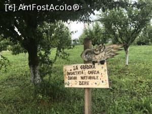 [P47] Livada cu pomi pitici » foto by krisstinna
 - 
<span class="allrVoted glyphicon glyphicon-heart hidden" id="av864629"></span>
<a class="m-l-10 hidden" id="sv864629" onclick="voting_Foto_DelVot(,864629,21446)" role="button">șterge vot <span class="glyphicon glyphicon-remove"></span></a>
<a id="v9864629" class=" c-red"  onclick="voting_Foto_SetVot(864629)" role="button"><span class="glyphicon glyphicon-heart-empty"></span> <b>LIKE</b> = Votează poza</a> <img class="hidden"  id="f864629W9" src="/imagini/loader.gif" border="0" /><span class="AjErrMes hidden" id="e864629ErM"></span>
