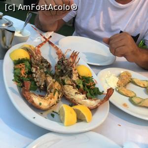 [P14]  -- <small>// FĂRĂ DESCRIERE</small> » foto by ANARCB*
 - 
<span class="allrVoted glyphicon glyphicon-heart hidden" id="av828905"></span>
<a class="m-l-10 hidden" id="sv828905" onclick="voting_Foto_DelVot(,828905,21450)" role="button">șterge vot <span class="glyphicon glyphicon-remove"></span></a>
<a id="v9828905" class=" c-red"  onclick="voting_Foto_SetVot(828905)" role="button"><span class="glyphicon glyphicon-heart-empty"></span> <b>LIKE</b> = Votează poza</a> <img class="hidden"  id="f828905W9" src="/imagini/loader.gif" border="0" /><span class="AjErrMes hidden" id="e828905ErM"></span>