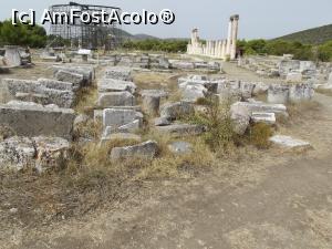 [P26] Tholos, Abaton de la Asklepion » foto by irinad
 - 
<span class="allrVoted glyphicon glyphicon-heart hidden" id="av829850"></span>
<a class="m-l-10 hidden" id="sv829850" onclick="voting_Foto_DelVot(,829850,21467)" role="button">șterge vot <span class="glyphicon glyphicon-remove"></span></a>
<a id="v9829850" class=" c-red"  onclick="voting_Foto_SetVot(829850)" role="button"><span class="glyphicon glyphicon-heart-empty"></span> <b>LIKE</b> = Votează poza</a> <img class="hidden"  id="f829850W9" src="/imagini/loader.gif" border="0" /><span class="AjErrMes hidden" id="e829850ErM"></span>
