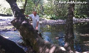 [P11] La umbra copacilor pe râul Voidomatis, regiunea Epir, Grecia.  » foto by traian.leuca †
 - 
<span class="allrVoted glyphicon glyphicon-heart hidden" id="av574431"></span>
<a class="m-l-10 hidden" id="sv574431" onclick="voting_Foto_DelVot(,574431,21484)" role="button">șterge vot <span class="glyphicon glyphicon-remove"></span></a>
<a id="v9574431" class=" c-red"  onclick="voting_Foto_SetVot(574431)" role="button"><span class="glyphicon glyphicon-heart-empty"></span> <b>LIKE</b> = Votează poza</a> <img class="hidden"  id="f574431W9" src="/imagini/loader.gif" border="0" /><span class="AjErrMes hidden" id="e574431ErM"></span>