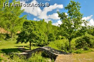 [P103] Agia Mina bridge.  » foto by Vlahos2003
 - 
<span class="allrVoted glyphicon glyphicon-heart hidden" id="av713677"></span>
<a class="m-l-10 hidden" id="sv713677" onclick="voting_Foto_DelVot(,713677,21484)" role="button">șterge vot <span class="glyphicon glyphicon-remove"></span></a>
<a id="v9713677" class=" c-red"  onclick="voting_Foto_SetVot(713677)" role="button"><span class="glyphicon glyphicon-heart-empty"></span> <b>LIKE</b> = Votează poza</a> <img class="hidden"  id="f713677W9" src="/imagini/loader.gif" border="0" /><span class="AjErrMes hidden" id="e713677ErM"></span>