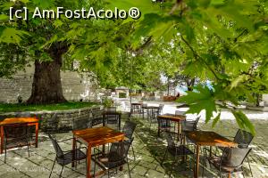 [P110] La umbra batranului platan din Monodendri.  » foto by Vlahos2003
 - 
<span class="allrVoted glyphicon glyphicon-heart hidden" id="av713687"></span>
<a class="m-l-10 hidden" id="sv713687" onclick="voting_Foto_DelVot(,713687,21484)" role="button">șterge vot <span class="glyphicon glyphicon-remove"></span></a>
<a id="v9713687" class=" c-red"  onclick="voting_Foto_SetVot(713687)" role="button"><span class="glyphicon glyphicon-heart-empty"></span> <b>LIKE</b> = Votează poza</a> <img class="hidden"  id="f713687W9" src="/imagini/loader.gif" border="0" /><span class="AjErrMes hidden" id="e713687ErM"></span>