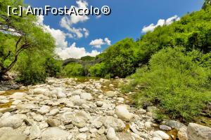 [P111] Kalogeriko » foto by Vlahos2003
 - 
<span class="allrVoted glyphicon glyphicon-heart hidden" id="av713689"></span>
<a class="m-l-10 hidden" id="sv713689" onclick="voting_Foto_DelVot(,713689,21484)" role="button">șterge vot <span class="glyphicon glyphicon-remove"></span></a>
<a id="v9713689" class=" c-red"  onclick="voting_Foto_SetVot(713689)" role="button"><span class="glyphicon glyphicon-heart-empty"></span> <b>LIKE</b> = Votează poza</a> <img class="hidden"  id="f713689W9" src="/imagini/loader.gif" border="0" /><span class="AjErrMes hidden" id="e713689ErM"></span>