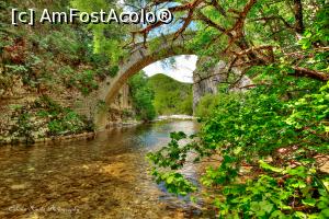 [P121] Kontodimos » foto by Vlahos2003
 - 
<span class="allrVoted glyphicon glyphicon-heart hidden" id="av713704"></span>
<a class="m-l-10 hidden" id="sv713704" onclick="voting_Foto_DelVot(,713704,21484)" role="button">șterge vot <span class="glyphicon glyphicon-remove"></span></a>
<a id="v9713704" class=" c-red"  onclick="voting_Foto_SetVot(713704)" role="button"><span class="glyphicon glyphicon-heart-empty"></span> <b>LIKE</b> = Votează poza</a> <img class="hidden"  id="f713704W9" src="/imagini/loader.gif" border="0" /><span class="AjErrMes hidden" id="e713704ErM"></span>