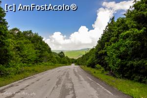 [P122] In pustiu, intre Kipoi si Aminciu.  » foto by Vlahos2003
 - 
<span class="allrVoted glyphicon glyphicon-heart hidden" id="av713705"></span>
<a class="m-l-10 hidden" id="sv713705" onclick="voting_Foto_DelVot(,713705,21484)" role="button">șterge vot <span class="glyphicon glyphicon-remove"></span></a>
<a id="v9713705" class=" c-red"  onclick="voting_Foto_SetVot(713705)" role="button"><span class="glyphicon glyphicon-heart-empty"></span> <b>LIKE</b> = Votează poza</a> <img class="hidden"  id="f713705W9" src="/imagini/loader.gif" border="0" /><span class="AjErrMes hidden" id="e713705ErM"></span>