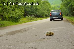 [P63] Intre Kipi si Aminciu, pe drumul pustiu.  » foto by Vlahos2003
 - 
<span class="allrVoted glyphicon glyphicon-heart hidden" id="av713637"></span>
<a class="m-l-10 hidden" id="sv713637" onclick="voting_Foto_DelVot(,713637,21484)" role="button">șterge vot <span class="glyphicon glyphicon-remove"></span></a>
<a id="v9713637" class=" c-red"  onclick="voting_Foto_SetVot(713637)" role="button"><span class="glyphicon glyphicon-heart-empty"></span> <b>LIKE</b> = Votează poza</a> <img class="hidden"  id="f713637W9" src="/imagini/loader.gif" border="0" /><span class="AjErrMes hidden" id="e713637ErM"></span>