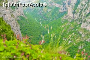 [P89] Canionul Vikos la Oxya.  » foto by Vlahos2003
 - 
<span class="allrVoted glyphicon glyphicon-heart hidden" id="av713663"></span>
<a class="m-l-10 hidden" id="sv713663" onclick="voting_Foto_DelVot(,713663,21484)" role="button">șterge vot <span class="glyphicon glyphicon-remove"></span></a>
<a id="v9713663" class=" c-red"  onclick="voting_Foto_SetVot(713663)" role="button"><span class="glyphicon glyphicon-heart-empty"></span> <b>LIKE</b> = Votează poza</a> <img class="hidden"  id="f713663W9" src="/imagini/loader.gif" border="0" /><span class="AjErrMes hidden" id="e713663ErM"></span>