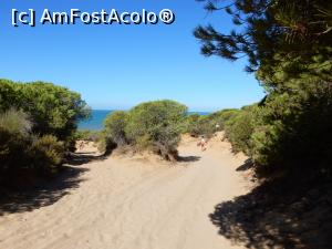 [P05] Parque Dunar de Matalascañas.  » foto by alinaro
 - 
<span class="allrVoted glyphicon glyphicon-heart hidden" id="av830891"></span>
<a class="m-l-10 hidden" id="sv830891" onclick="voting_Foto_DelVot(,830891,21488)" role="button">șterge vot <span class="glyphicon glyphicon-remove"></span></a>
<a id="v9830891" class=" c-red"  onclick="voting_Foto_SetVot(830891)" role="button"><span class="glyphicon glyphicon-heart-empty"></span> <b>LIKE</b> = Votează poza</a> <img class="hidden"  id="f830891W9" src="/imagini/loader.gif" border="0" /><span class="AjErrMes hidden" id="e830891ErM"></span>