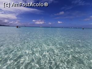 [P13] Apa de pe White Beach » foto by cata2106
 - 
<span class="allrVoted glyphicon glyphicon-heart hidden" id="av1139915"></span>
<a class="m-l-10 hidden" id="sv1139915" onclick="voting_Foto_DelVot(,1139915,21504)" role="button">șterge vot <span class="glyphicon glyphicon-remove"></span></a>
<a id="v91139915" class=" c-red"  onclick="voting_Foto_SetVot(1139915)" role="button"><span class="glyphicon glyphicon-heart-empty"></span> <b>LIKE</b> = Votează poza</a> <img class="hidden"  id="f1139915W9" src="/imagini/loader.gif" border="0" /><span class="AjErrMes hidden" id="e1139915ErM"></span>