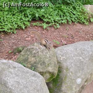 [P50]  -- <small>// FĂRĂ DESCRIERE</small> » foto by geop
 - 
<span class="allrVoted glyphicon glyphicon-heart hidden" id="av832116"></span>
<a class="m-l-10 hidden" id="sv832116" onclick="voting_Foto_DelVot(,832116,21507)" role="button">șterge vot <span class="glyphicon glyphicon-remove"></span></a>
<a id="v9832116" class=" c-red"  onclick="voting_Foto_SetVot(832116)" role="button"><span class="glyphicon glyphicon-heart-empty"></span> <b>LIKE</b> = Votează poza</a> <img class="hidden"  id="f832116W9" src="/imagini/loader.gif" border="0" /><span class="AjErrMes hidden" id="e832116ErM"></span>