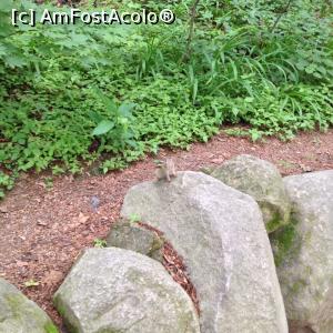 [P51]  -- <small>// FĂRĂ DESCRIERE</small> » foto by geop
 - 
<span class="allrVoted glyphicon glyphicon-heart hidden" id="av832117"></span>
<a class="m-l-10 hidden" id="sv832117" onclick="voting_Foto_DelVot(,832117,21507)" role="button">șterge vot <span class="glyphicon glyphicon-remove"></span></a>
<a id="v9832117" class=" c-red"  onclick="voting_Foto_SetVot(832117)" role="button"><span class="glyphicon glyphicon-heart-empty"></span> <b>LIKE</b> = Votează poza</a> <img class="hidden"  id="f832117W9" src="/imagini/loader.gif" border="0" /><span class="AjErrMes hidden" id="e832117ErM"></span>