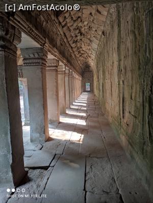 [P12] Ta Prohm » foto by Pușcașu Marin
 - 
<span class="allrVoted glyphicon glyphicon-heart hidden" id="av1385781"></span>
<a class="m-l-10 hidden" id="sv1385781" onclick="voting_Foto_DelVot(,1385781,21517)" role="button">șterge vot <span class="glyphicon glyphicon-remove"></span></a>
<a id="v91385781" class=" c-red"  onclick="voting_Foto_SetVot(1385781)" role="button"><span class="glyphicon glyphicon-heart-empty"></span> <b>LIKE</b> = Votează poza</a> <img class="hidden"  id="f1385781W9" src="/imagini/loader.gif" border="0" /><span class="AjErrMes hidden" id="e1385781ErM"></span>