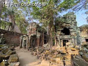 [P13] Ta Prohm » foto by Pușcașu Marin
 - 
<span class="allrVoted glyphicon glyphicon-heart hidden" id="av1385782"></span>
<a class="m-l-10 hidden" id="sv1385782" onclick="voting_Foto_DelVot(,1385782,21517)" role="button">șterge vot <span class="glyphicon glyphicon-remove"></span></a>
<a id="v91385782" class=" c-red"  onclick="voting_Foto_SetVot(1385782)" role="button"><span class="glyphicon glyphicon-heart-empty"></span> <b>LIKE</b> = Votează poza</a> <img class="hidden"  id="f1385782W9" src="/imagini/loader.gif" border="0" /><span class="AjErrMes hidden" id="e1385782ErM"></span>