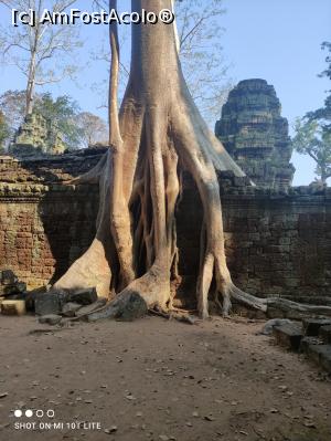 [P15] Ta Prohm » foto by Pușcașu Marin
 - 
<span class="allrVoted glyphicon glyphicon-heart hidden" id="av1385784"></span>
<a class="m-l-10 hidden" id="sv1385784" onclick="voting_Foto_DelVot(,1385784,21517)" role="button">șterge vot <span class="glyphicon glyphicon-remove"></span></a>
<a id="v91385784" class=" c-red"  onclick="voting_Foto_SetVot(1385784)" role="button"><span class="glyphicon glyphicon-heart-empty"></span> <b>LIKE</b> = Votează poza</a> <img class="hidden"  id="f1385784W9" src="/imagini/loader.gif" border="0" /><span class="AjErrMes hidden" id="e1385784ErM"></span>