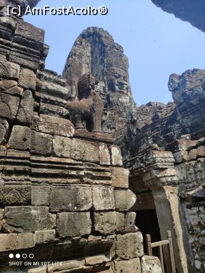 [P28] Bayon Temple » foto by Pușcașu Marin
 - 
<span class="allrVoted glyphicon glyphicon-heart hidden" id="av1385797"></span>
<a class="m-l-10 hidden" id="sv1385797" onclick="voting_Foto_DelVot(,1385797,21517)" role="button">șterge vot <span class="glyphicon glyphicon-remove"></span></a>
<a id="v91385797" class=" c-red"  onclick="voting_Foto_SetVot(1385797)" role="button"><span class="glyphicon glyphicon-heart-empty"></span> <b>LIKE</b> = Votează poza</a> <img class="hidden"  id="f1385797W9" src="/imagini/loader.gif" border="0" /><span class="AjErrMes hidden" id="e1385797ErM"></span>