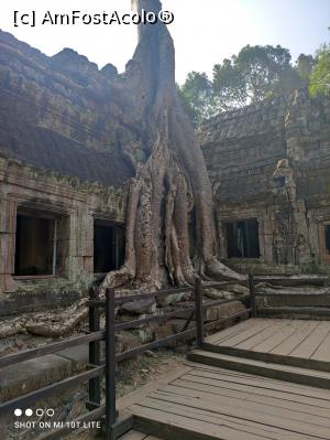 [P09] Si-am ajuns la Ta Prohm » foto by Pușcașu Marin
 - 
<span class="allrVoted glyphicon glyphicon-heart hidden" id="av1385778"></span>
<a class="m-l-10 hidden" id="sv1385778" onclick="voting_Foto_DelVot(,1385778,21517)" role="button">șterge vot <span class="glyphicon glyphicon-remove"></span></a>
<a id="v91385778" class=" c-red"  onclick="voting_Foto_SetVot(1385778)" role="button"><span class="glyphicon glyphicon-heart-empty"></span> <b>LIKE</b> = Votează poza</a> <img class="hidden"  id="f1385778W9" src="/imagini/loader.gif" border="0" /><span class="AjErrMes hidden" id="e1385778ErM"></span>
