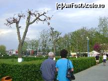 [P02] Tg. Mures - alee din weekend » foto by biancuta
 - 
<span class="allrVoted glyphicon glyphicon-heart hidden" id="av68311"></span>
<a class="m-l-10 hidden" id="sv68311" onclick="voting_Foto_DelVot(,68311,21521)" role="button">șterge vot <span class="glyphicon glyphicon-remove"></span></a>
<a id="v968311" class=" c-red"  onclick="voting_Foto_SetVot(68311)" role="button"><span class="glyphicon glyphicon-heart-empty"></span> <b>LIKE</b> = Votează poza</a> <img class="hidden"  id="f68311W9" src="/imagini/loader.gif" border="0" /><span class="AjErrMes hidden" id="e68311ErM"></span>