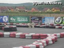 [P19] Pista de karting e pazita de doi ciobanesti simpatici » foto by dorgo
 - 
<span class="allrVoted glyphicon glyphicon-heart hidden" id="av200228"></span>
<a class="m-l-10 hidden" id="sv200228" onclick="voting_Foto_DelVot(,200228,21521)" role="button">șterge vot <span class="glyphicon glyphicon-remove"></span></a>
<a id="v9200228" class=" c-red"  onclick="voting_Foto_SetVot(200228)" role="button"><span class="glyphicon glyphicon-heart-empty"></span> <b>LIKE</b> = Votează poza</a> <img class="hidden"  id="f200228W9" src="/imagini/loader.gif" border="0" /><span class="AjErrMes hidden" id="e200228ErM"></span>