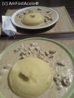 [P14] Papricas de pui cu mamaliguta la terasa Hot-Fresh (12 lei)  » foto by dorgo
 - 
<span class="allrVoted glyphicon glyphicon-heart hidden" id="av734655"></span>
<a class="m-l-10 hidden" id="sv734655" onclick="voting_Foto_DelVot(,734655,21521)" role="button">șterge vot <span class="glyphicon glyphicon-remove"></span></a>
<a id="v9734655" class=" c-red"  onclick="voting_Foto_SetVot(734655)" role="button"><span class="glyphicon glyphicon-heart-empty"></span> <b>LIKE</b> = Votează poza</a> <img class="hidden"  id="f734655W9" src="/imagini/loader.gif" border="0" /><span class="AjErrMes hidden" id="e734655ErM"></span>