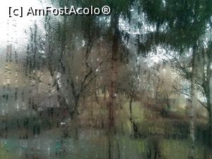 [P09] E-o vreme ploiasa, nu mai e de stat in casa, asa ca incerc sa evadez la o bere sau la 'gogoasa' » foto by dorgo
 - 
<span class="allrVoted glyphicon glyphicon-heart hidden" id="av833047"></span>
<a class="m-l-10 hidden" id="sv833047" onclick="voting_Foto_DelVot(,833047,21521)" role="button">șterge vot <span class="glyphicon glyphicon-remove"></span></a>
<a id="v9833047" class=" c-red"  onclick="voting_Foto_SetVot(833047)" role="button"><span class="glyphicon glyphicon-heart-empty"></span> <b>LIKE</b> = Votează poza</a> <img class="hidden"  id="f833047W9" src="/imagini/loader.gif" border="0" /><span class="AjErrMes hidden" id="e833047ErM"></span>