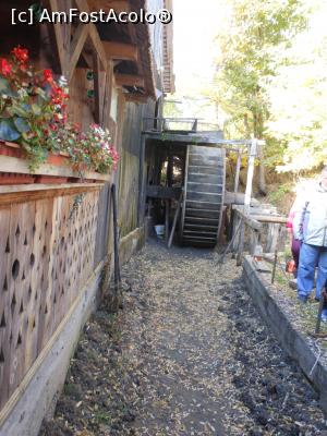 [P07] Ohaba - Moara cu Apă. Roata morii în revizie. » foto by iulianic
 - 
<span class="allrVoted glyphicon glyphicon-heart hidden" id="av1350367"></span>
<a class="m-l-10 hidden" id="sv1350367" onclick="voting_Foto_DelVot(,1350367,21522)" role="button">șterge vot <span class="glyphicon glyphicon-remove"></span></a>
<a id="v91350367" class=" c-red"  onclick="voting_Foto_SetVot(1350367)" role="button"><span class="glyphicon glyphicon-heart-empty"></span> <b>LIKE</b> = Votează poza</a> <img class="hidden"  id="f1350367W9" src="/imagini/loader.gif" border="0" /><span class="AjErrMes hidden" id="e1350367ErM"></span>