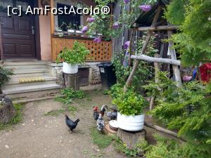 [P13] De prin curtea morii. » foto by maryka
 - 
<span class="allrVoted glyphicon glyphicon-heart hidden" id="av1226032"></span>
<a class="m-l-10 hidden" id="sv1226032" onclick="voting_Foto_DelVot(,1226032,21522)" role="button">șterge vot <span class="glyphicon glyphicon-remove"></span></a>
<a id="v91226032" class=" c-red"  onclick="voting_Foto_SetVot(1226032)" role="button"><span class="glyphicon glyphicon-heart-empty"></span> <b>LIKE</b> = Votează poza</a> <img class="hidden"  id="f1226032W9" src="/imagini/loader.gif" border="0" /><span class="AjErrMes hidden" id="e1226032ErM"></span>