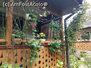 [P14] De prin curtea morii, verdeață și flori. » foto by maryka
 - 
<span class="allrVoted glyphicon glyphicon-heart hidden" id="av1226033"></span>
<a class="m-l-10 hidden" id="sv1226033" onclick="voting_Foto_DelVot(,1226033,21522)" role="button">șterge vot <span class="glyphicon glyphicon-remove"></span></a>
<a id="v91226033" class=" c-red"  onclick="voting_Foto_SetVot(1226033)" role="button"><span class="glyphicon glyphicon-heart-empty"></span> <b>LIKE</b> = Votează poza</a> <img class="hidden"  id="f1226033W9" src="/imagini/loader.gif" border="0" /><span class="AjErrMes hidden" id="e1226033ErM"></span>