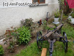 [P17] Un plug &icirc;n curtea morii. » foto by maryka
 - 
<span class="allrVoted glyphicon glyphicon-heart hidden" id="av1226037"></span>
<a class="m-l-10 hidden" id="sv1226037" onclick="voting_Foto_DelVot(,1226037,21522)" role="button">șterge vot <span class="glyphicon glyphicon-remove"></span></a>
<a id="v91226037" class=" c-red"  onclick="voting_Foto_SetVot(1226037)" role="button"><span class="glyphicon glyphicon-heart-empty"></span> <b>LIKE</b> = Votează poza</a> <img class="hidden"  id="f1226037W9" src="/imagini/loader.gif" border="0" /><span class="AjErrMes hidden" id="e1226037ErM"></span>