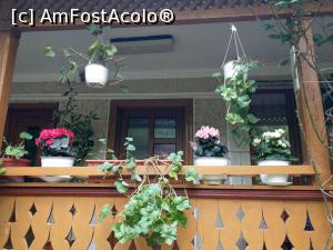 [P18] Cerdacul plin cu flori, mușcate, begonii, iederă. » foto by maryka
 - 
<span class="allrVoted glyphicon glyphicon-heart hidden" id="av1226038"></span>
<a class="m-l-10 hidden" id="sv1226038" onclick="voting_Foto_DelVot(,1226038,21522)" role="button">șterge vot <span class="glyphicon glyphicon-remove"></span></a>
<a id="v91226038" class=" c-red"  onclick="voting_Foto_SetVot(1226038)" role="button"><span class="glyphicon glyphicon-heart-empty"></span> <b>LIKE</b> = Votează poza</a> <img class="hidden"  id="f1226038W9" src="/imagini/loader.gif" border="0" /><span class="AjErrMes hidden" id="e1226038ErM"></span>