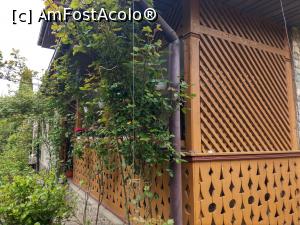 [P22] Foișoarele de lemn &icirc;mpodobite cu verdeață. » foto by maryka
 - 
<span class="allrVoted glyphicon glyphicon-heart hidden" id="av1226042"></span>
<a class="m-l-10 hidden" id="sv1226042" onclick="voting_Foto_DelVot(,1226042,21522)" role="button">șterge vot <span class="glyphicon glyphicon-remove"></span></a>
<a id="v91226042" class=" c-red"  onclick="voting_Foto_SetVot(1226042)" role="button"><span class="glyphicon glyphicon-heart-empty"></span> <b>LIKE</b> = Votează poza</a> <img class="hidden"  id="f1226042W9" src="/imagini/loader.gif" border="0" /><span class="AjErrMes hidden" id="e1226042ErM"></span>