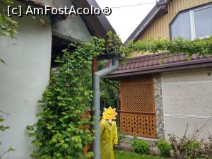 [P24] Prin curtea morii. » foto by maryka
 - 
<span class="allrVoted glyphicon glyphicon-heart hidden" id="av1226044"></span>
<a class="m-l-10 hidden" id="sv1226044" onclick="voting_Foto_DelVot(,1226044,21522)" role="button">șterge vot <span class="glyphicon glyphicon-remove"></span></a>
<a id="v91226044" class=" c-red"  onclick="voting_Foto_SetVot(1226044)" role="button"><span class="glyphicon glyphicon-heart-empty"></span> <b>LIKE</b> = Votează poza</a> <img class="hidden"  id="f1226044W9" src="/imagini/loader.gif" border="0" /><span class="AjErrMes hidden" id="e1226044ErM"></span>