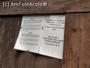 [P33] Explicații peste tot. » foto by maryka
 - 
<span class="allrVoted glyphicon glyphicon-heart hidden" id="av1226053"></span>
<a class="m-l-10 hidden" id="sv1226053" onclick="voting_Foto_DelVot(,1226053,21522)" role="button">șterge vot <span class="glyphicon glyphicon-remove"></span></a>
<a id="v91226053" class=" c-red"  onclick="voting_Foto_SetVot(1226053)" role="button"><span class="glyphicon glyphicon-heart-empty"></span> <b>LIKE</b> = Votează poza</a> <img class="hidden"  id="f1226053W9" src="/imagini/loader.gif" border="0" /><span class="AjErrMes hidden" id="e1226053ErM"></span>