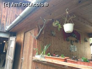 [P34] Un loc amenajat pentru luat masa, &icirc;n dreapta. » foto by maryka
 - 
<span class="allrVoted glyphicon glyphicon-heart hidden" id="av1226054"></span>
<a class="m-l-10 hidden" id="sv1226054" onclick="voting_Foto_DelVot(,1226054,21522)" role="button">șterge vot <span class="glyphicon glyphicon-remove"></span></a>
<a id="v91226054" class=" c-red"  onclick="voting_Foto_SetVot(1226054)" role="button"><span class="glyphicon glyphicon-heart-empty"></span> <b>LIKE</b> = Votează poza</a> <img class="hidden"  id="f1226054W9" src="/imagini/loader.gif" border="0" /><span class="AjErrMes hidden" id="e1226054ErM"></span>