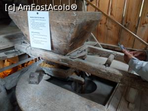 [P37] Din nou, măcinatul. » foto by maryka
 - 
<span class="allrVoted glyphicon glyphicon-heart hidden" id="av1226057"></span>
<a class="m-l-10 hidden" id="sv1226057" onclick="voting_Foto_DelVot(,1226057,21522)" role="button">șterge vot <span class="glyphicon glyphicon-remove"></span></a>
<a id="v91226057" class=" c-red"  onclick="voting_Foto_SetVot(1226057)" role="button"><span class="glyphicon glyphicon-heart-empty"></span> <b>LIKE</b> = Votează poza</a> <img class="hidden"  id="f1226057W9" src="/imagini/loader.gif" border="0" /><span class="AjErrMes hidden" id="e1226057ErM"></span>