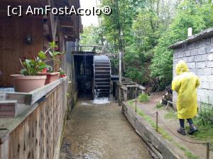 [P06] Mergem &icirc;nspre roata morii pe l&acirc;ngă p&acirc;r&acirc;iaș. » foto by maryka
 - 
<span class="allrVoted glyphicon glyphicon-heart hidden" id="av1226022"></span>
<a class="m-l-10 hidden" id="sv1226022" onclick="voting_Foto_DelVot(,1226022,21522)" role="button">șterge vot <span class="glyphicon glyphicon-remove"></span></a>
<a id="v91226022" class=" c-red"  onclick="voting_Foto_SetVot(1226022)" role="button"><span class="glyphicon glyphicon-heart-empty"></span> <b>LIKE</b> = Votează poza</a> <img class="hidden"  id="f1226022W9" src="/imagini/loader.gif" border="0" /><span class="AjErrMes hidden" id="e1226022ErM"></span>