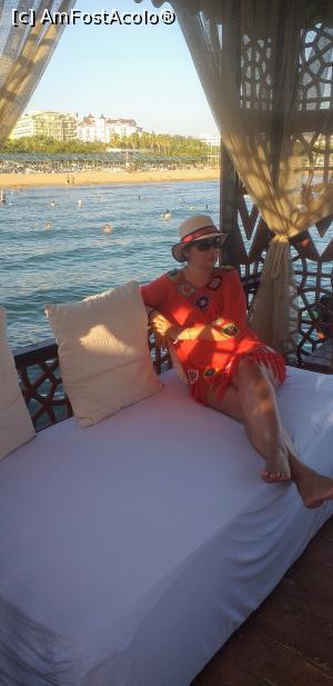 [P19] Relaxare in cabana. » foto by VasiuM
 - 
<span class="allrVoted glyphicon glyphicon-heart hidden" id="av1189874"></span>
<a class="m-l-10 hidden" id="sv1189874" onclick="voting_Foto_DelVot(,1189874,21529)" role="button">șterge vot <span class="glyphicon glyphicon-remove"></span></a>
<a id="v91189874" class=" c-red"  onclick="voting_Foto_SetVot(1189874)" role="button"><span class="glyphicon glyphicon-heart-empty"></span> <b>LIKE</b> = Votează poza</a> <img class="hidden"  id="f1189874W9" src="/imagini/loader.gif" border="0" /><span class="AjErrMes hidden" id="e1189874ErM"></span>